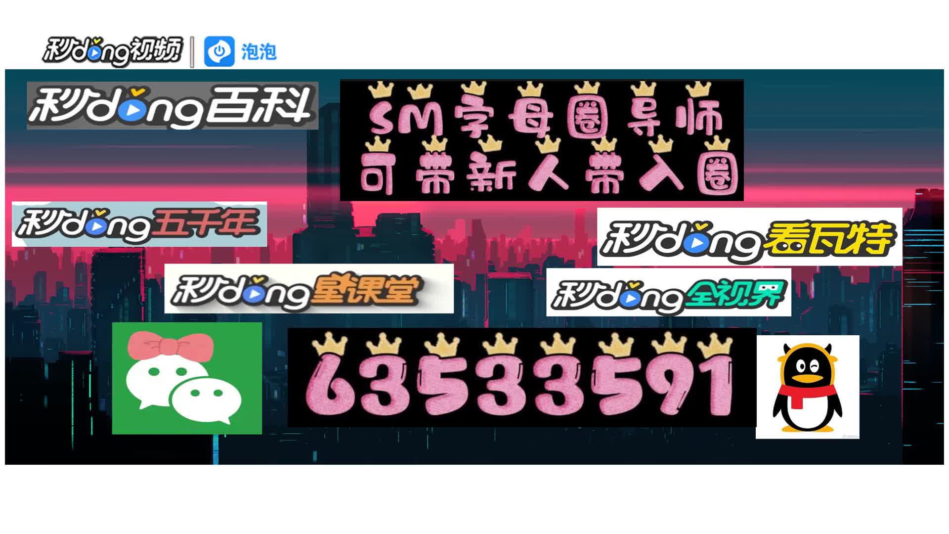 4.1分钟了解小圈文化