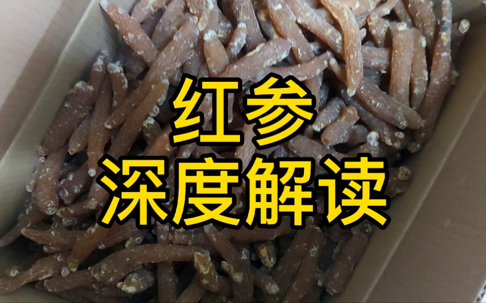 红参 深度解读 教你一些你能用到的知识.哔哩哔哩bilibili