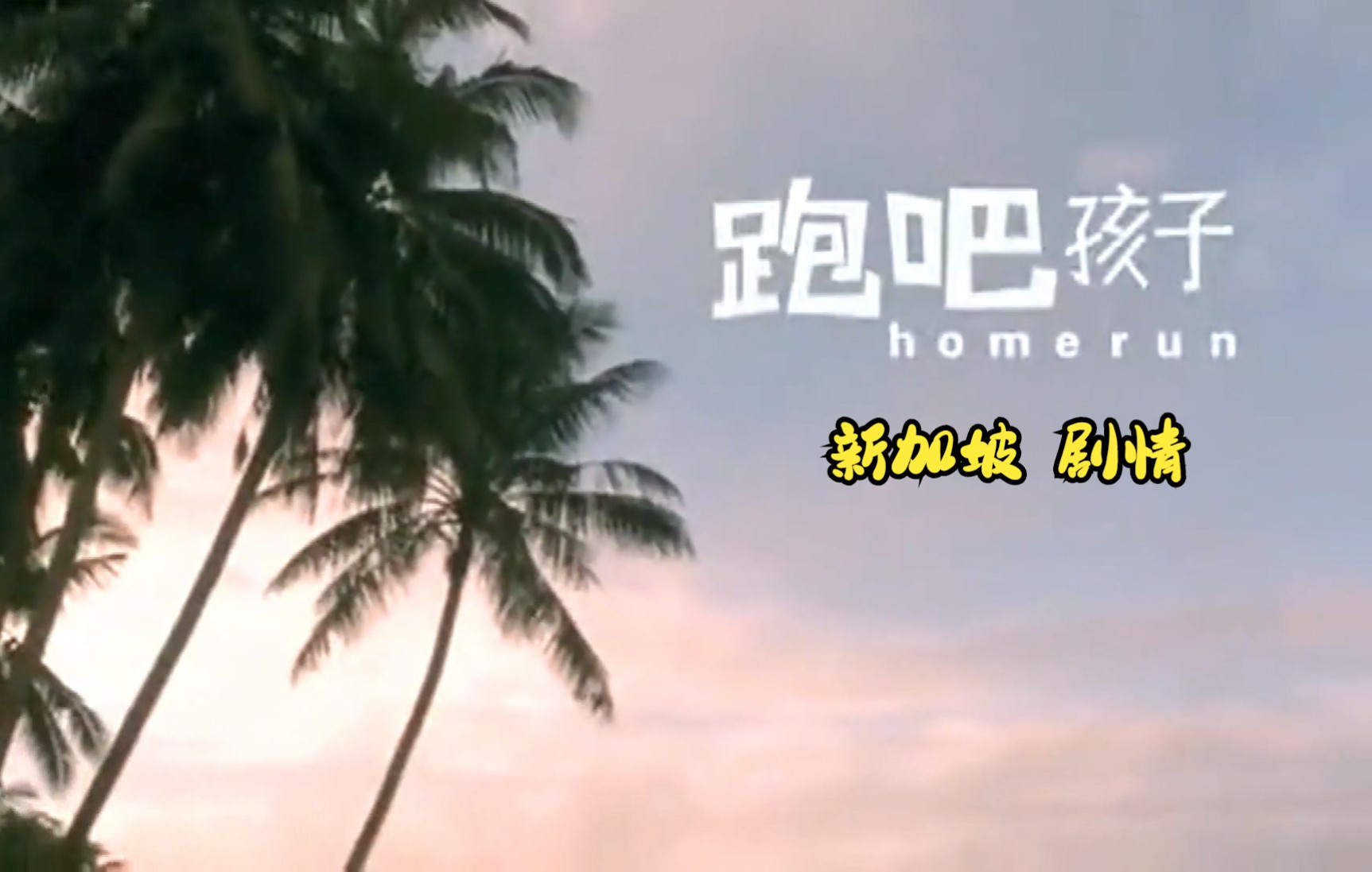 国语中字跑吧孩子homerun2003片尾曲