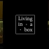 #短瞬#【托德·海因斯：箱中生活 \ Todd Haynes- Living in a Box】