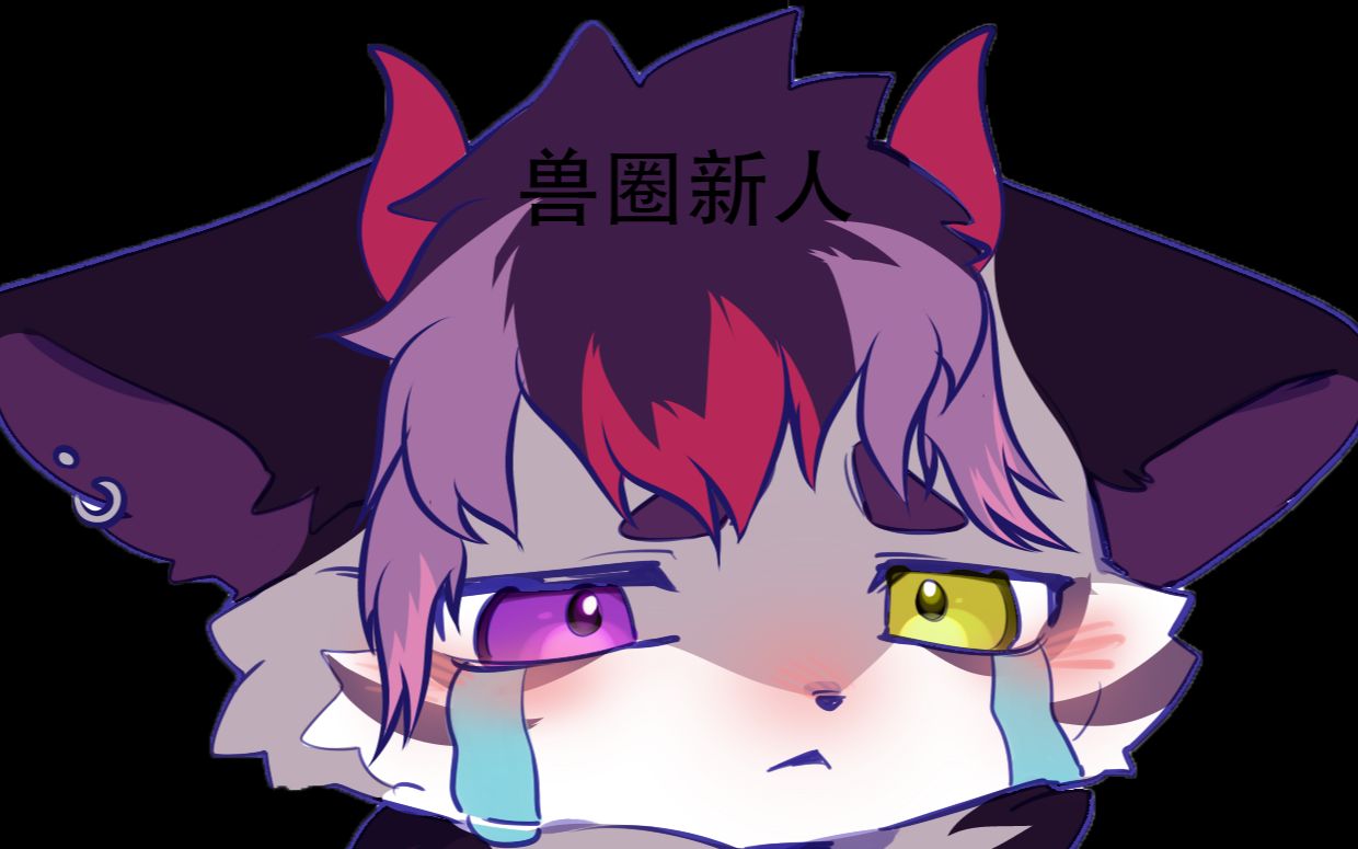 兽圈新人兽圈新人的第一个视频