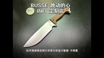 Скачать видео: BUSSE 跳动的心 INFI 定制店 仅开箱视频及照片欣赏分析设计数据 不销售