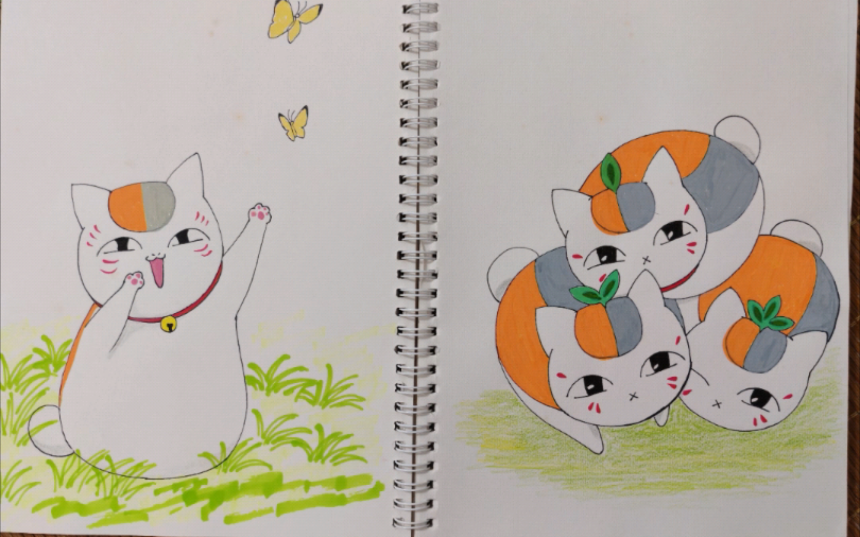 每天画一只猫咪老师(打卡)