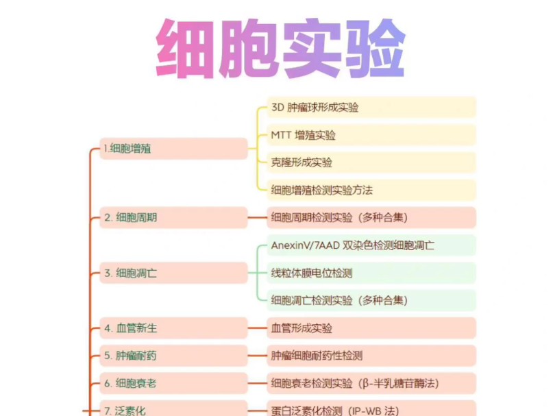 常见的细胞实验(合集)超详细的实验原理+实验步骤分享给大家,允许白嫖哔哩哔哩bilibili