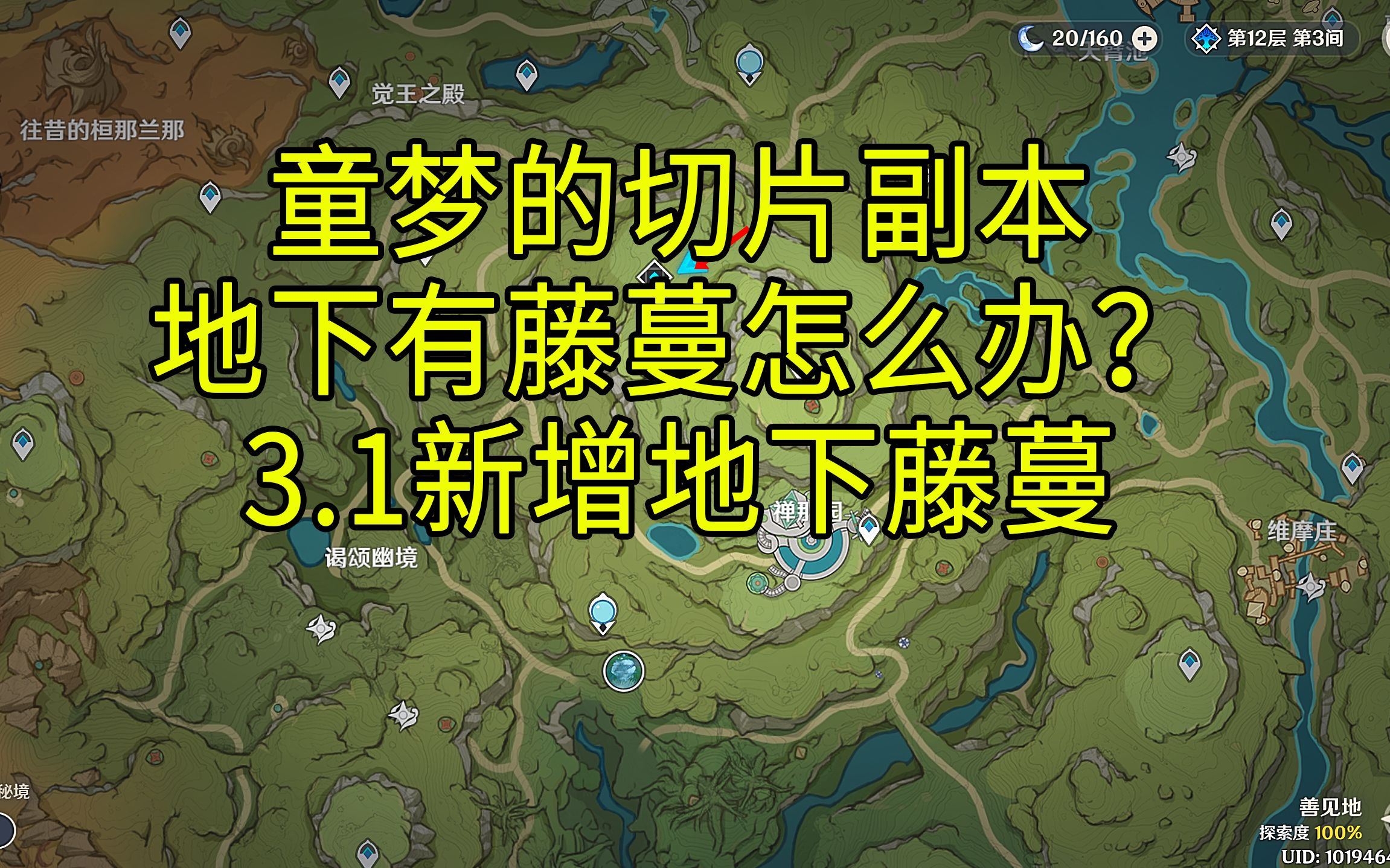 【原神】童梦的切片3.1新增地下藤蔓解法/须弥/雨林/水下/藤蔓/树根/树枝手机游戏热门视频