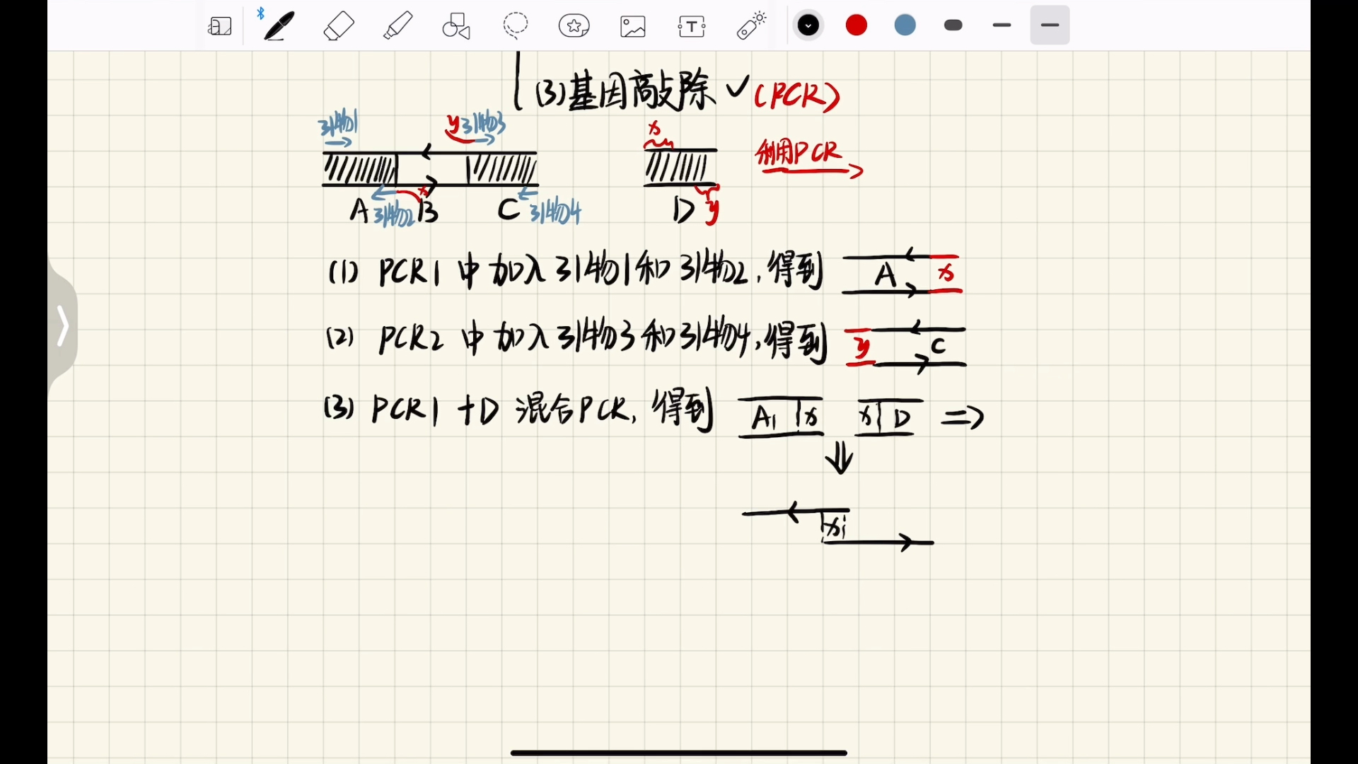 基因工程常考题型知识点讲解上(PCR)哔哩哔哩bilibili