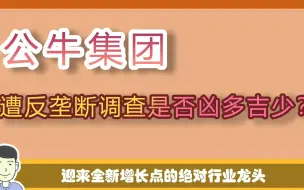 下载视频: 制造业里独一个，插座绝对龙头公牛集团，渠道能力强到国家都怒了【价值事务所】【张坤 葛兰刘彦春 朱少醒 林园 但斌 股神巴菲特 】股票估值 股票必备 基金经理