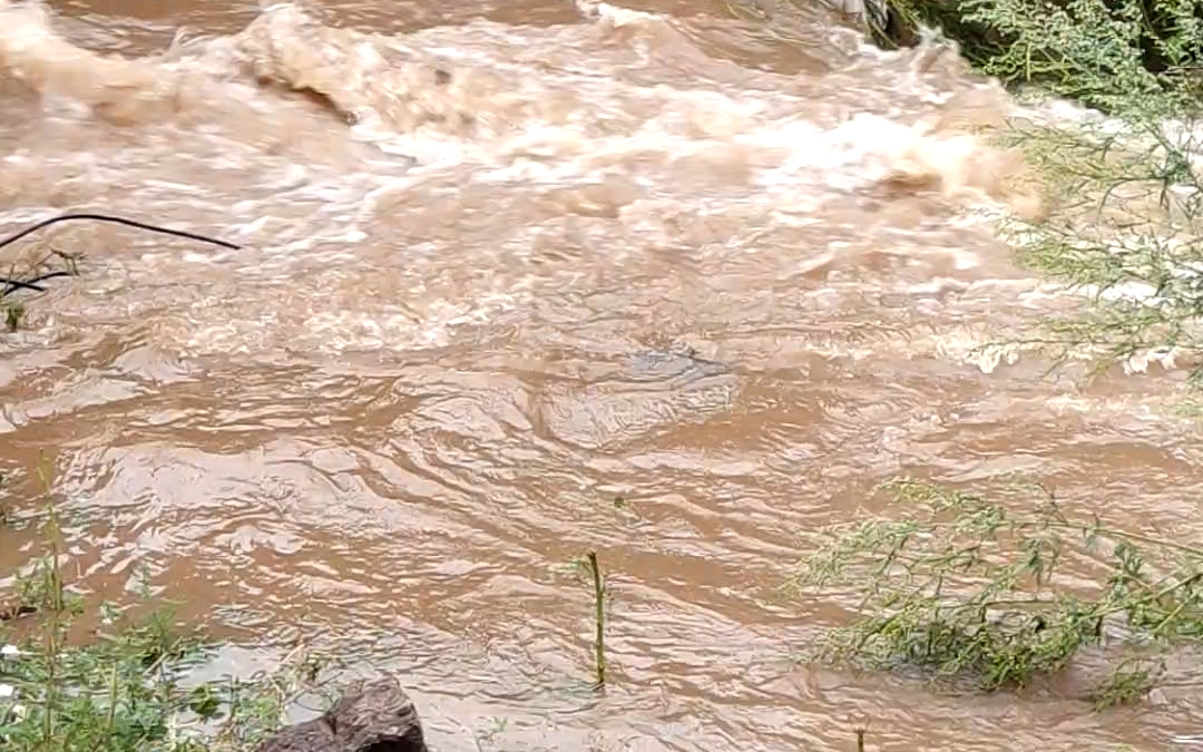 做梦梦到下大雨发大水是什么预兆（梦见下大雨发大水是什么征兆） 做梦梦到下大雨发洪流
是什么预兆（梦见下大雨发洪流
是什么征兆） 卜算大全