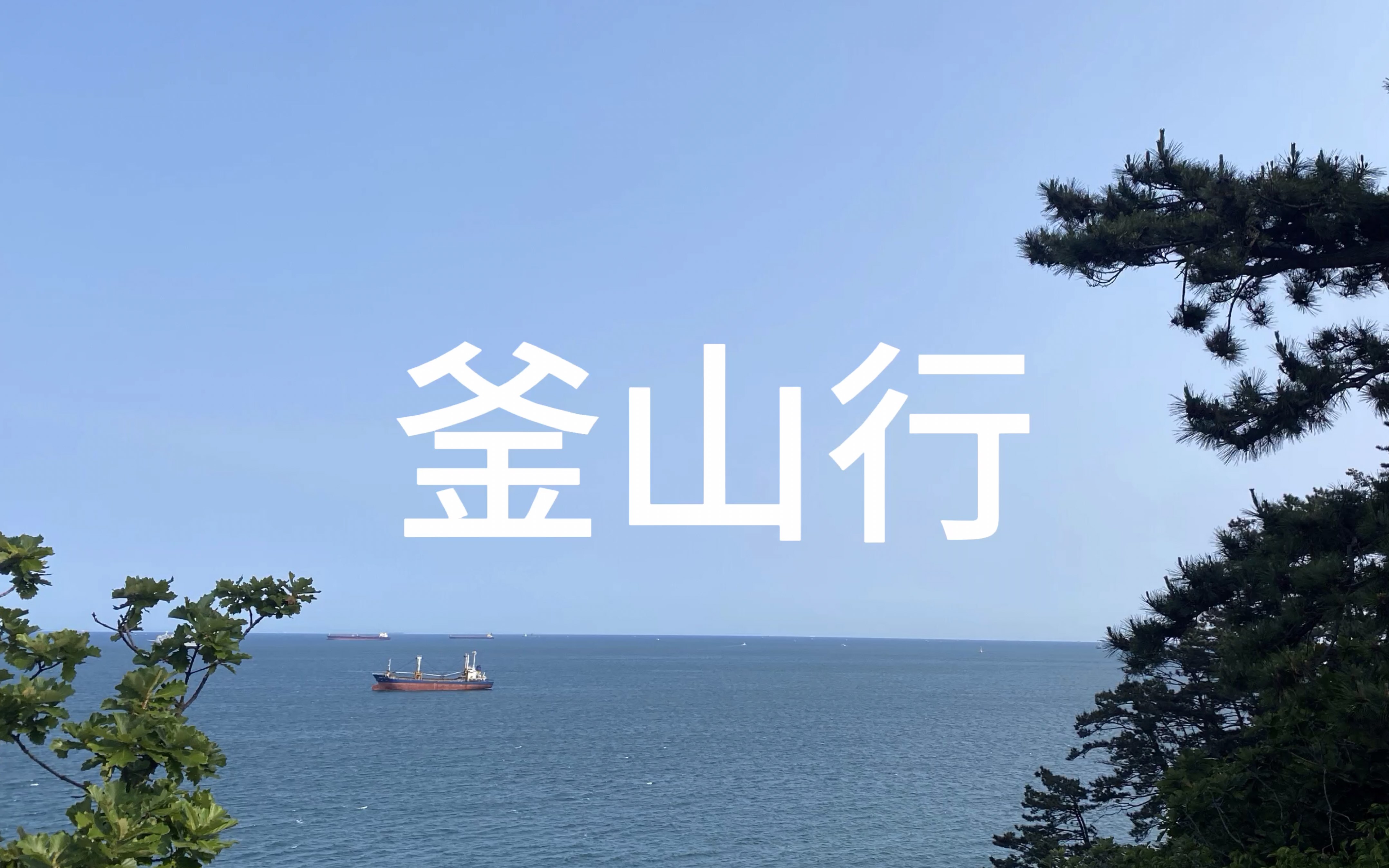 韩国旅游2024-釜山