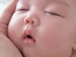 Descargar video: 肉肉的幼崽