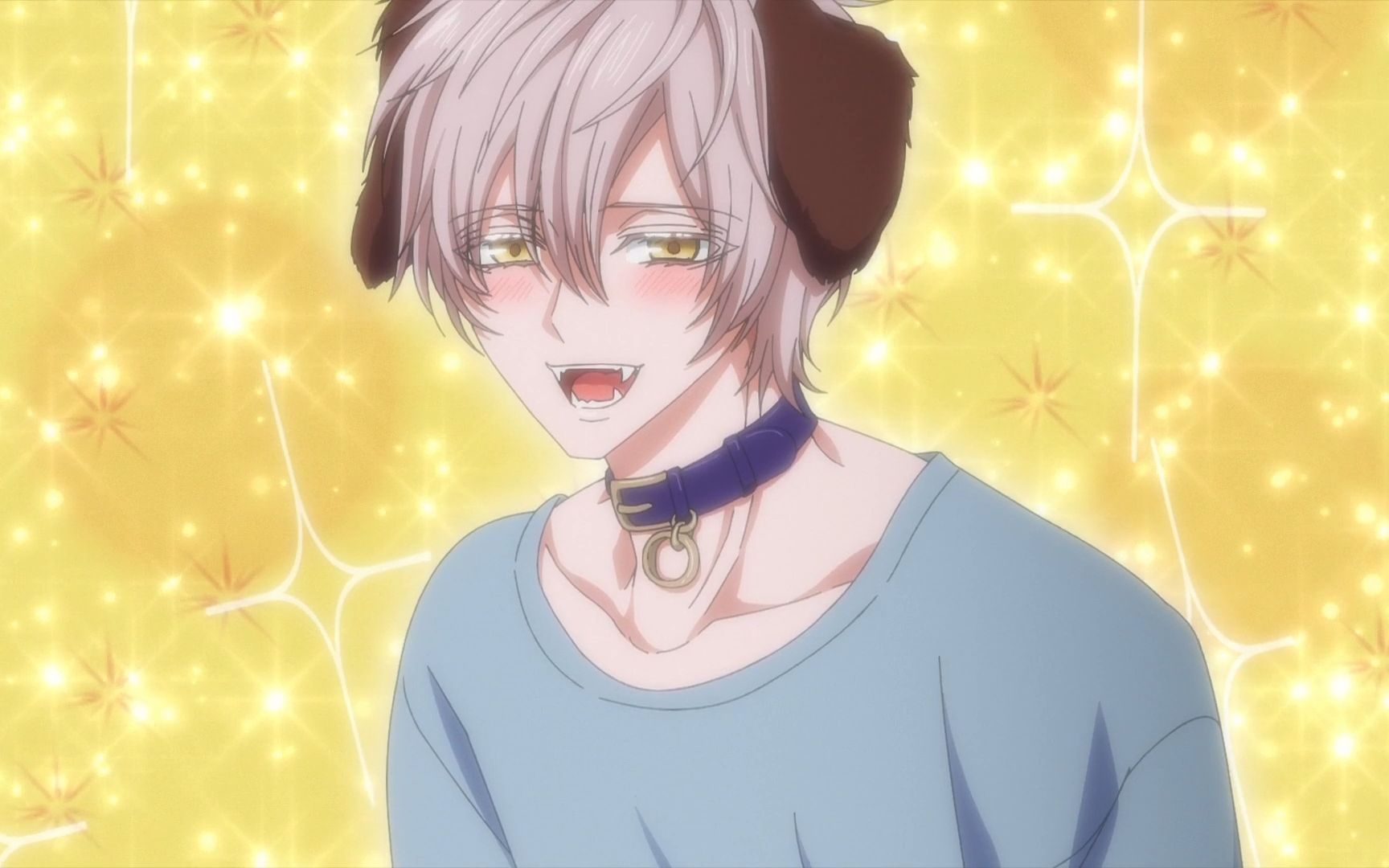 森林里的熊先生第二集大型犬的魅力