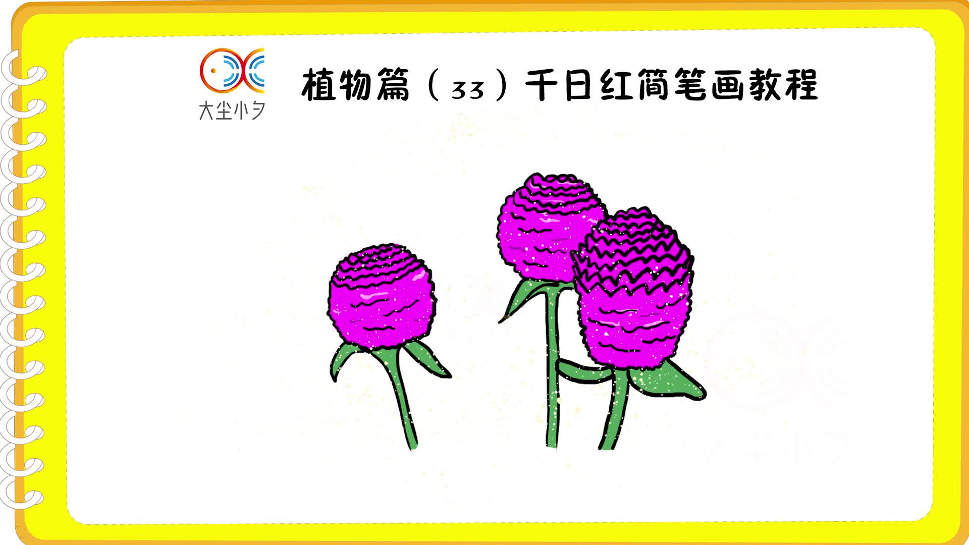 植物篇33千日红简笔画教程