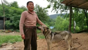 城固南坎营千年古泉 大妈洗老古董浆水菜缸5000元不卖 传家宝 哔哩哔哩 Bilibili