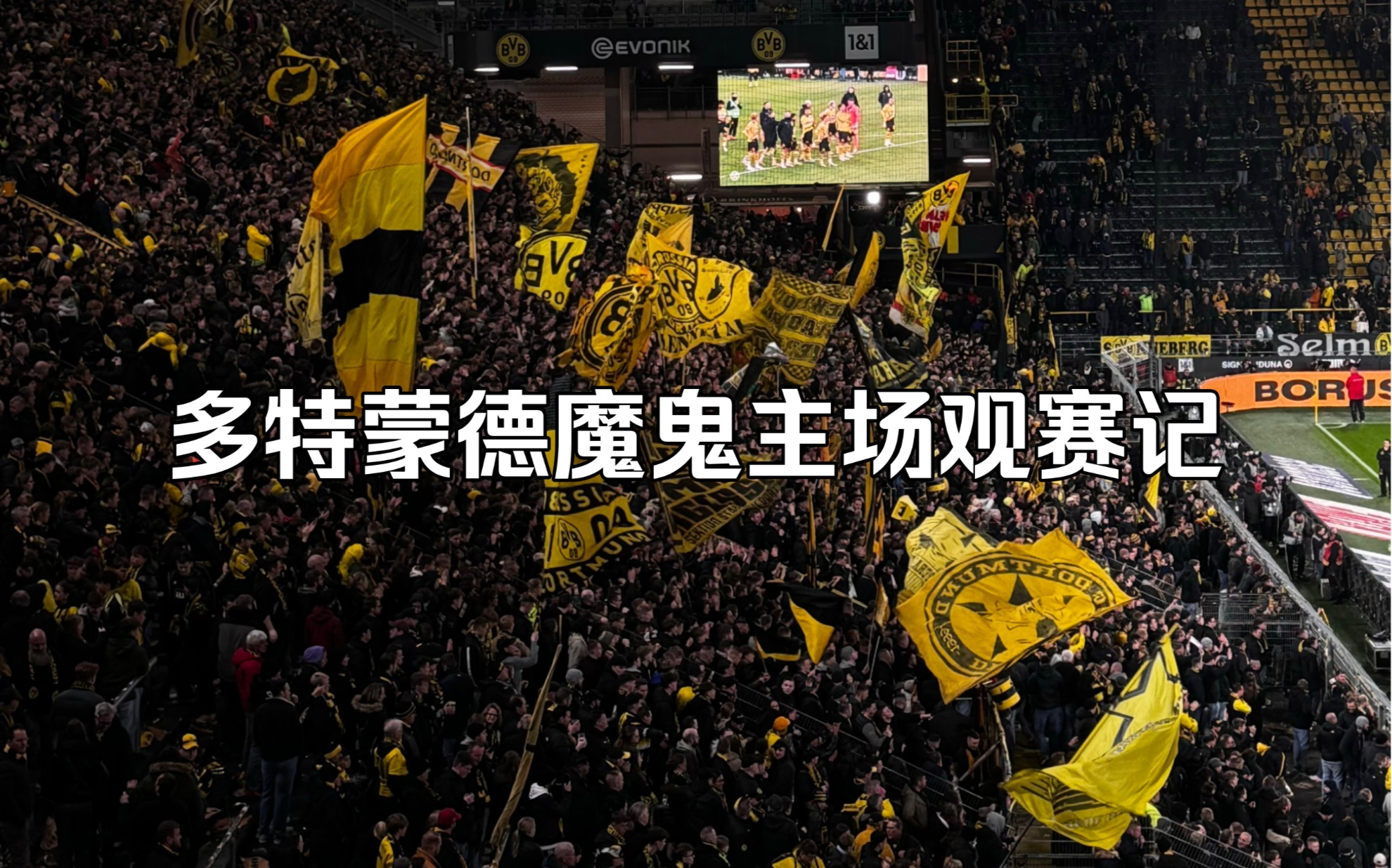 游走日记第七期:我们一起来看看多特蒙德的魔鬼主场