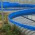 圆形帆布鱼池帆布水池镀锌板高密度养殖池