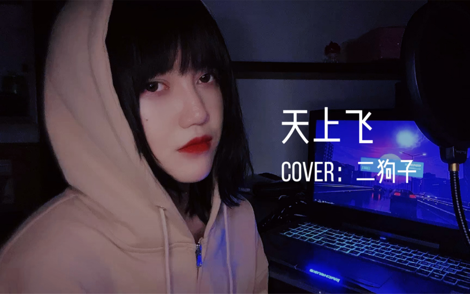 王贰浪翻唱天上飞cover二狗子