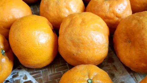 胖柑? 最喜欢吃的柑,没有之一