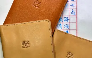 最近新入的三本小狮子护照本呀！