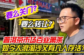 Download Video: 要么关门？要么转让？普洱茶市场百业萧条，如今大浪淘沙几人存活