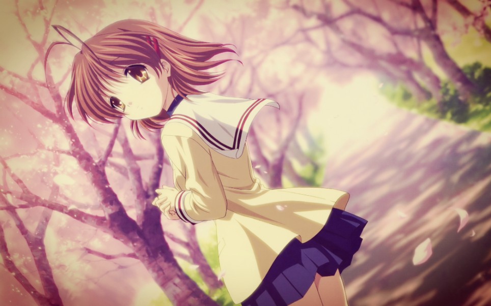 【clannad】小渚的樱花狂欢曲