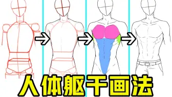 小白都会遇到的人体问题！教你新手也能学会的躯干画法！【轻微课 一看就绘-748期】