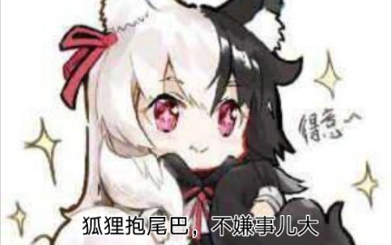 论主播粉丝群天天都在看什么哔哩哔哩bilibili