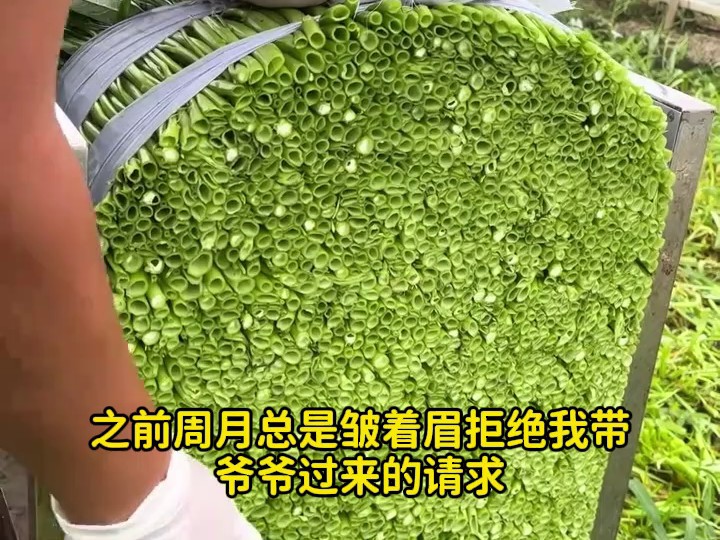 他的心跳失温2
