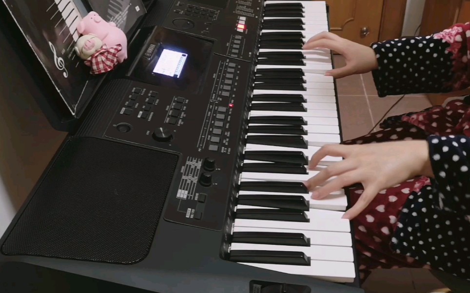 [图]浪漫卡农电子琴改编演奏 雅马哈Yamaha PSR E463