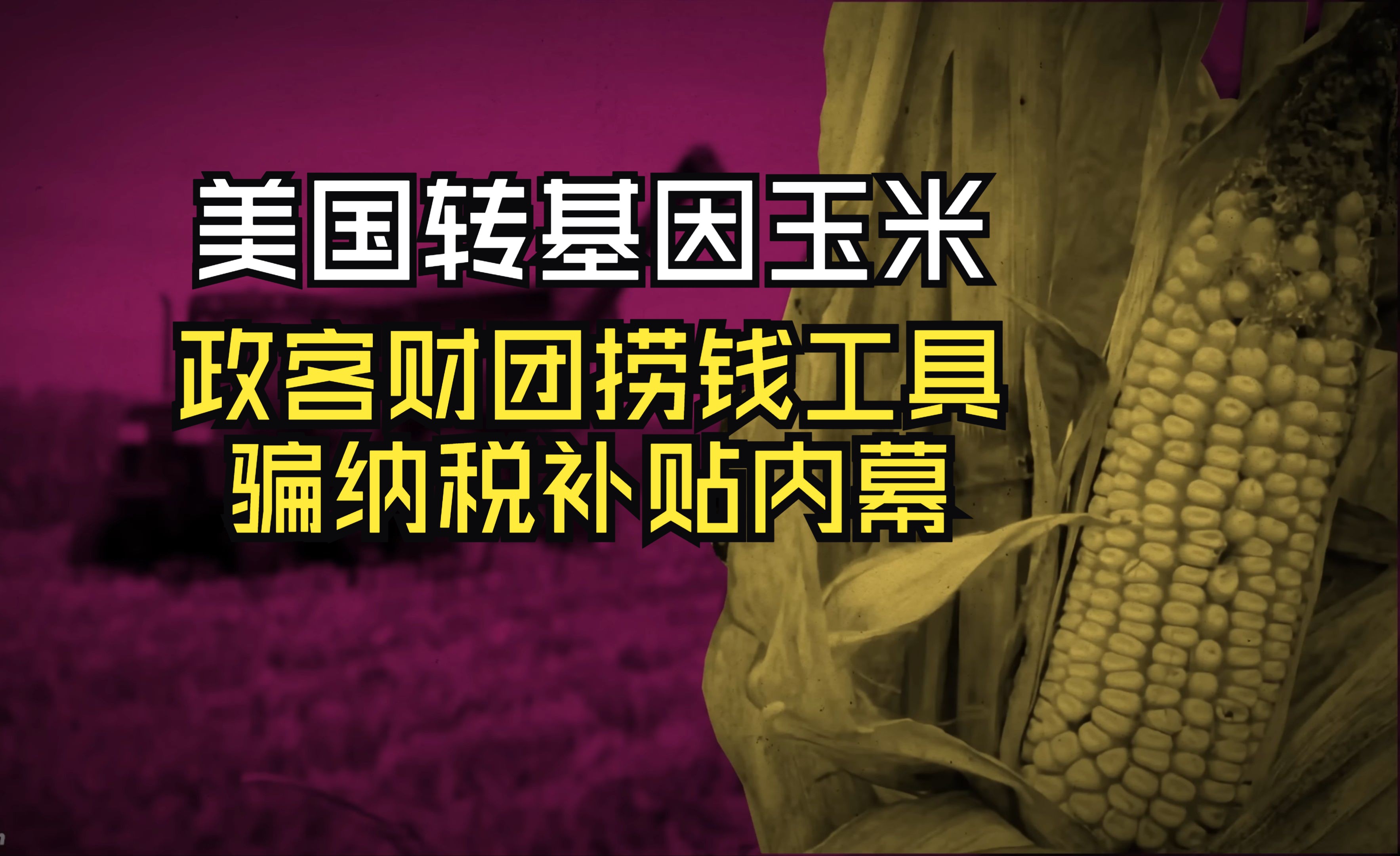 揭露美国转基因玉米的黑色产业链,政客财团的骗税收补贴的捞钱工具哔哩哔哩bilibili