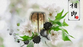 金魚花火翻唱 哔哩哔哩 つロ干杯 Bilibili