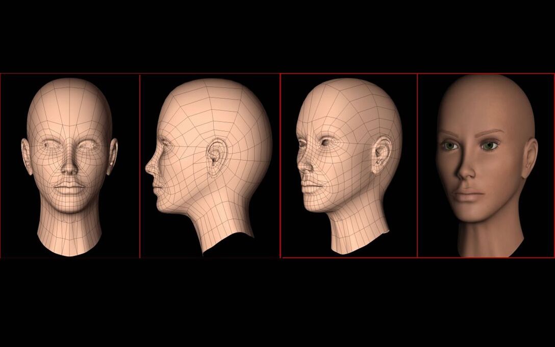 【人物建模】頭部結構詳解,3d人頭基礎佈線技巧