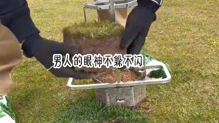 【七猫】《情深雨濛》哔哩哔哩bilibili