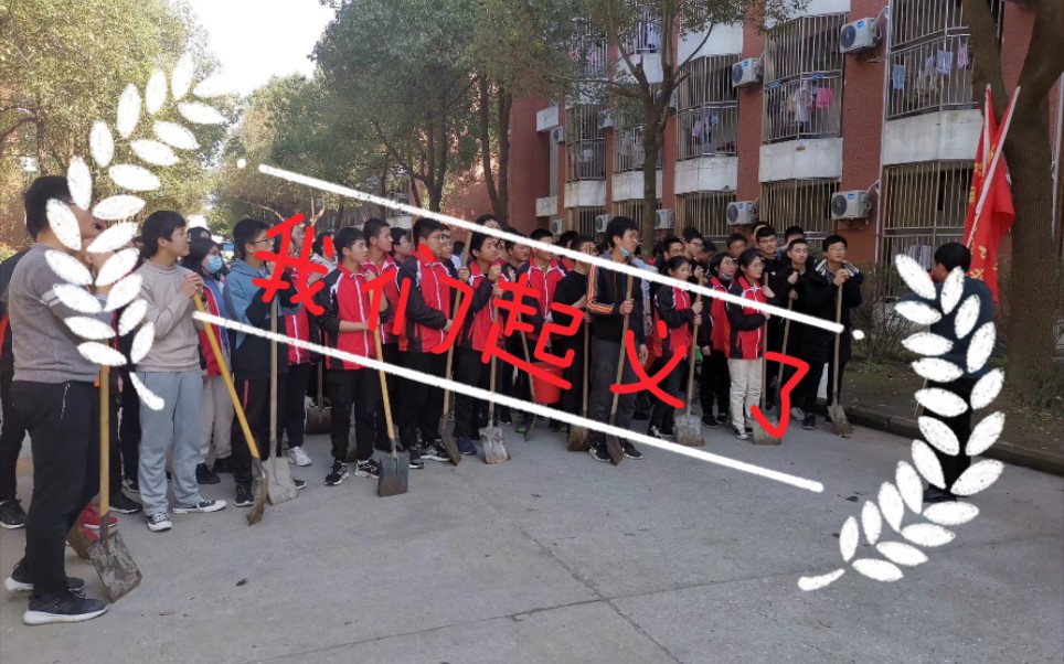 (植树节)某校学习压力太大,学生终于起义了哔哩哔哩bilibili