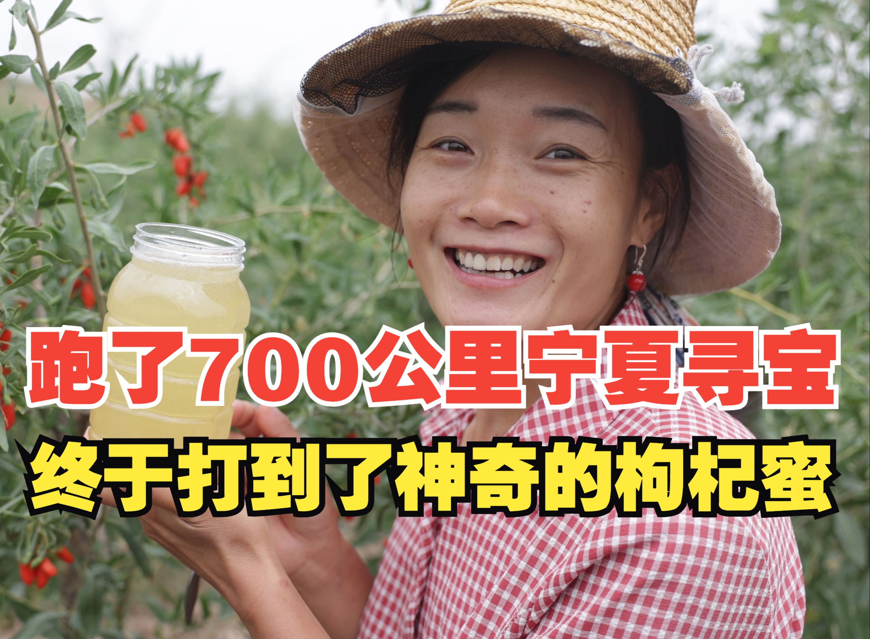 跑了700公里宁夏寻宝,终于打到了神奇的枸杞蜜!哔哩哔哩bilibili