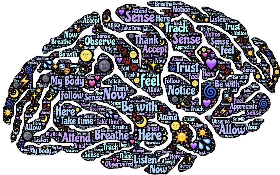 当我思考时我的大脑在想什么麻省理工学院mitk12