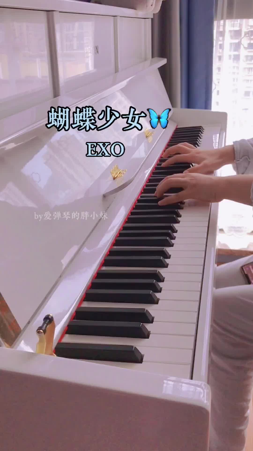 蝴蝶少女钢琴