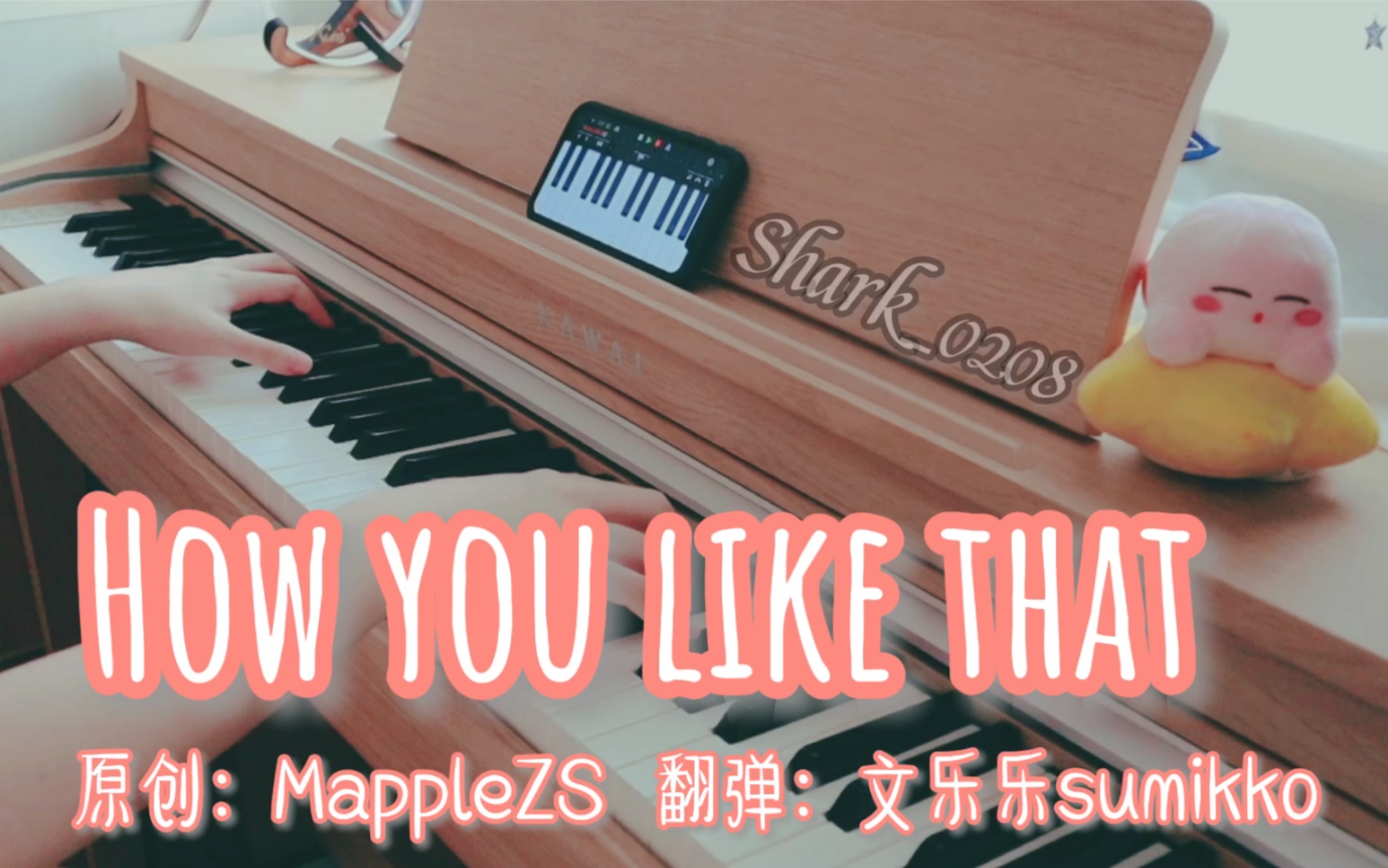 blackpink — how you like that 二次扒谱大佬mapplezs版