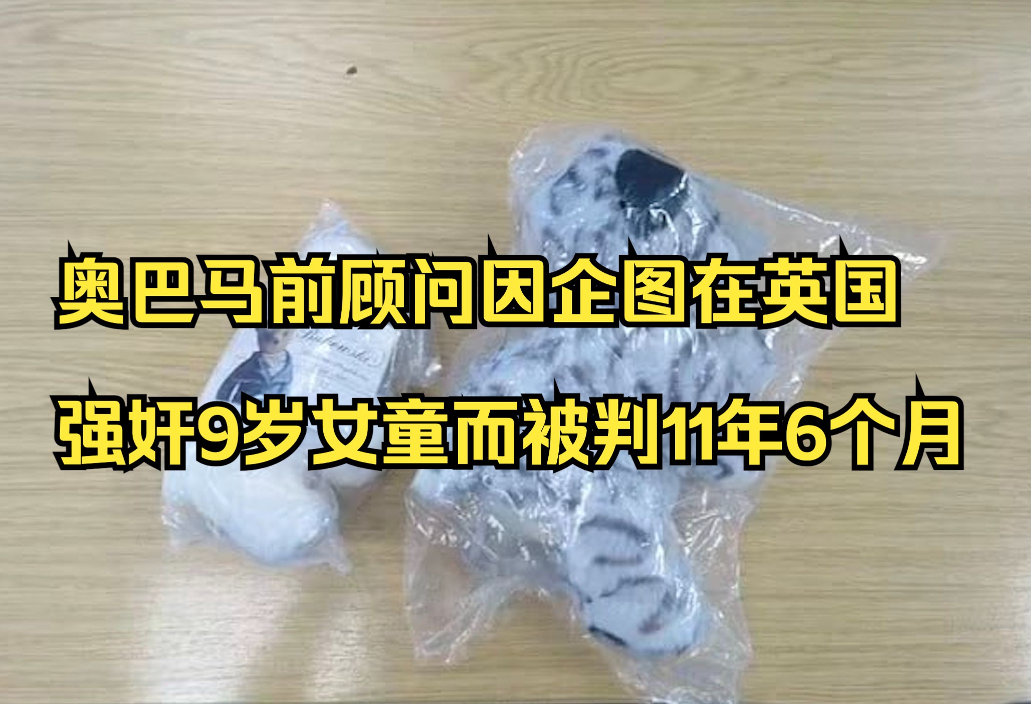 奥巴马前顾问因企图在英国强奸9岁女童而被判11年6个月监禁哔哩哔哩bilibili