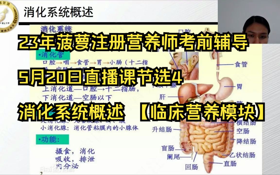 菠萝23年注册营养师(技师)临床营养直播课节选4消化系统概述 主讲老师:林立群哔哩哔哩bilibili