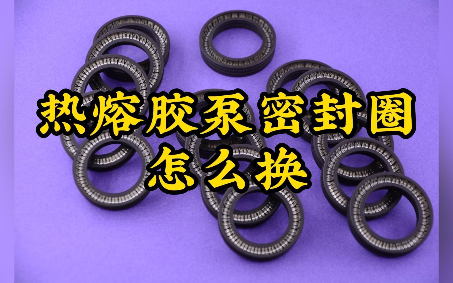 齿轮泵密封圈更换视频=齿轮泵密封圈更换视频教程