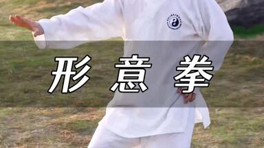 鶴山晃瑞　中国拳法　太極拳・形意拳・八卦掌 Yahoo!オークション - 中国拳法 太極拳・形意拳・八卦掌 鶴山晃