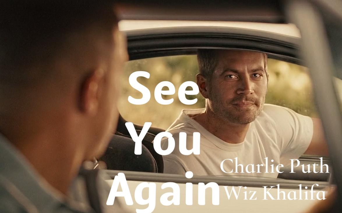 因保罗沃克而生的seeyouagain愿另一个世界也有gtr