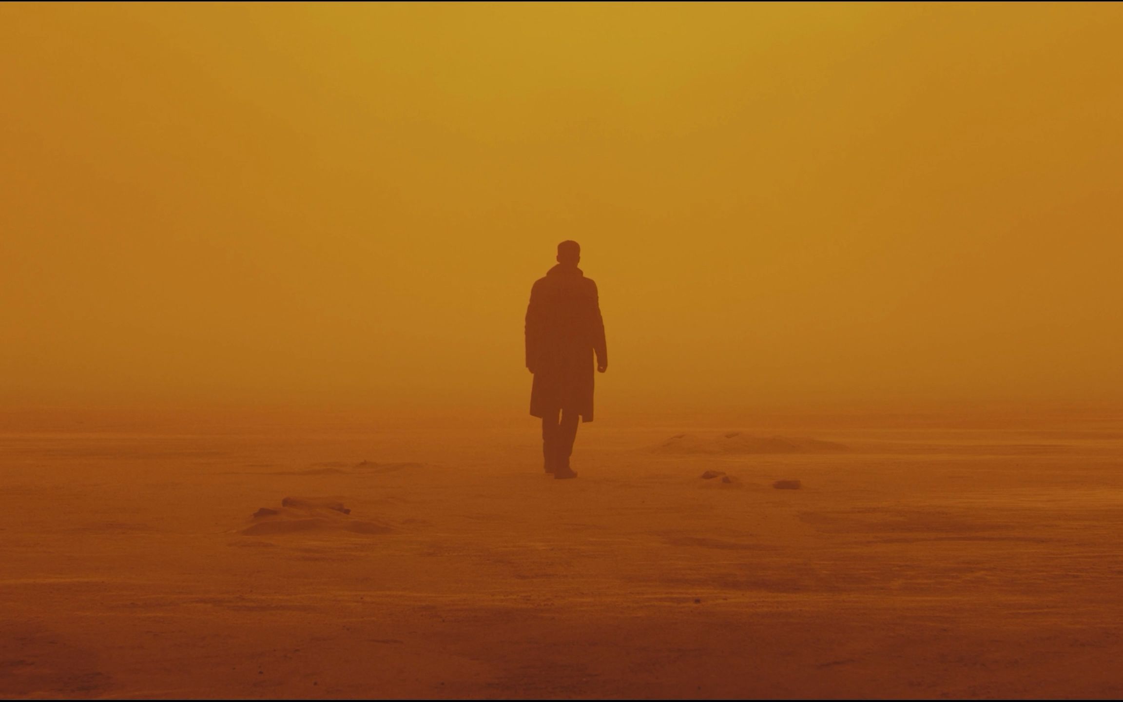 [图]Blade Runner 2049 Music Video（After Dark）