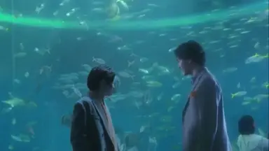 甲斐翔真-哔哩哔哩_Bilibili