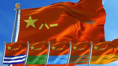 中国共産党党旗 Amazon.co.jp: 中国共产党党徽党旗条例（64开红皮烫金） : 本