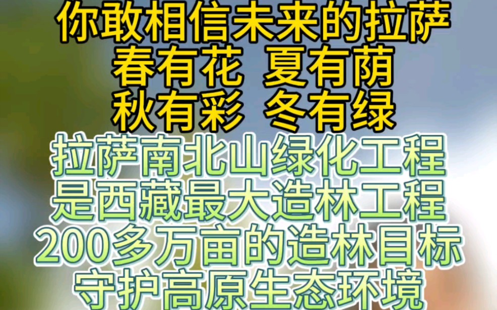 人权行动看中国,西藏最大规模造林工程,守护高原生态环境.哔哩哔哩bilibili