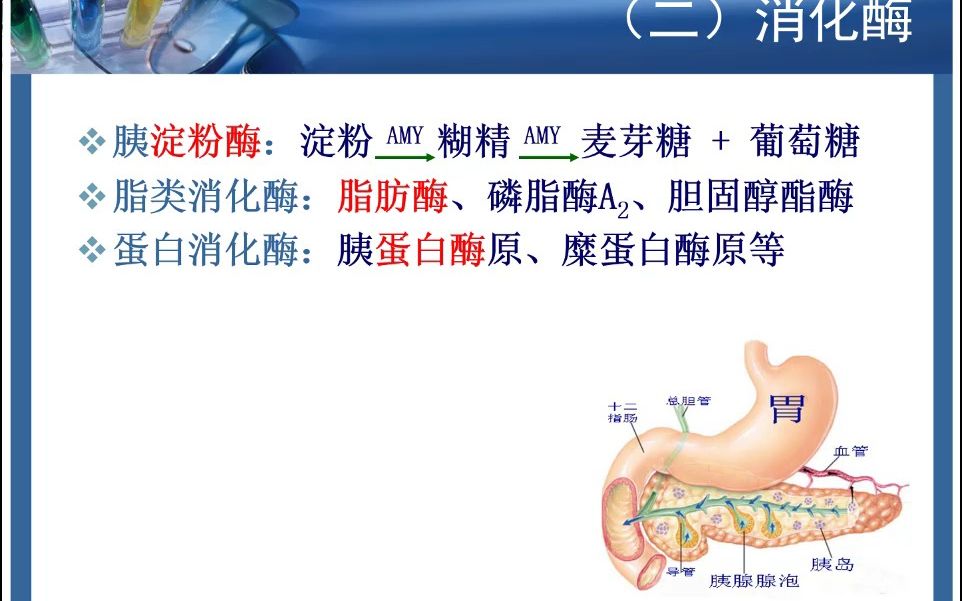 [图]12月25日 临床生物化学检验-胰腺疾病检验