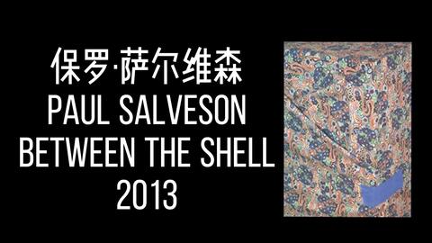 摄影画册| 翻书视频】保罗·萨尔维森PAUL SALVESON：Between The Shell