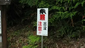 日本山村 - 玉置山的神之岩