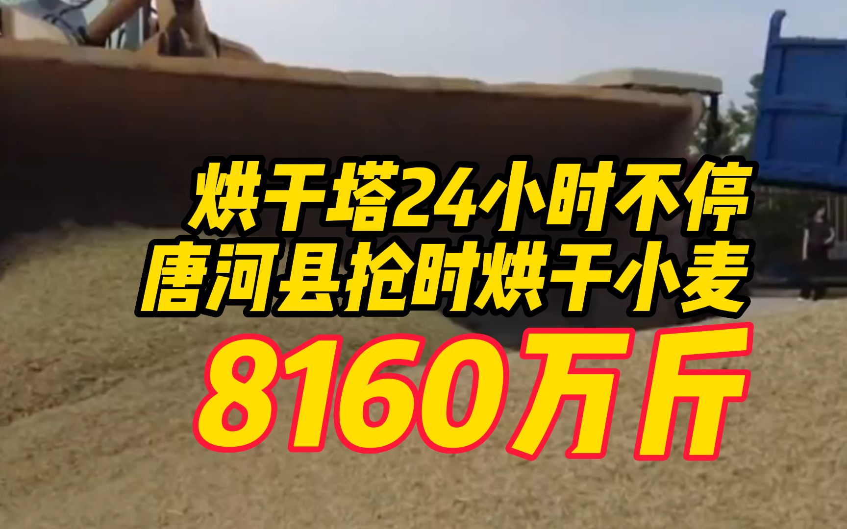 烘干塔24小时不停,把潮粮加工成干粮,河南唐河县抢时烘干小麦8160万斤哔哩哔哩bilibili